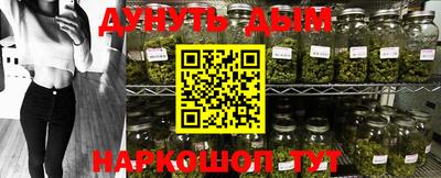 дмт Ставрополь